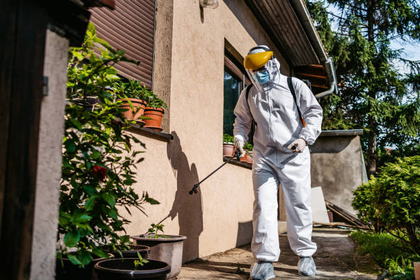 Best Wasp Removal Services  in Galion, OH