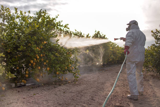 Best Exterminator Services  in Galion, OH