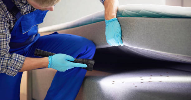 Best Termite Control Services  in Galion, OH